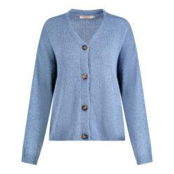 Gilet met houten knopen | blauw